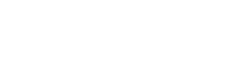 NetBrain_Logo_TXT_WHITE